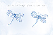 INSECTS & FLOWERS line art set, a Decorative Illustration by Yuliia Lashevska (Thumbnail 11 of 12)