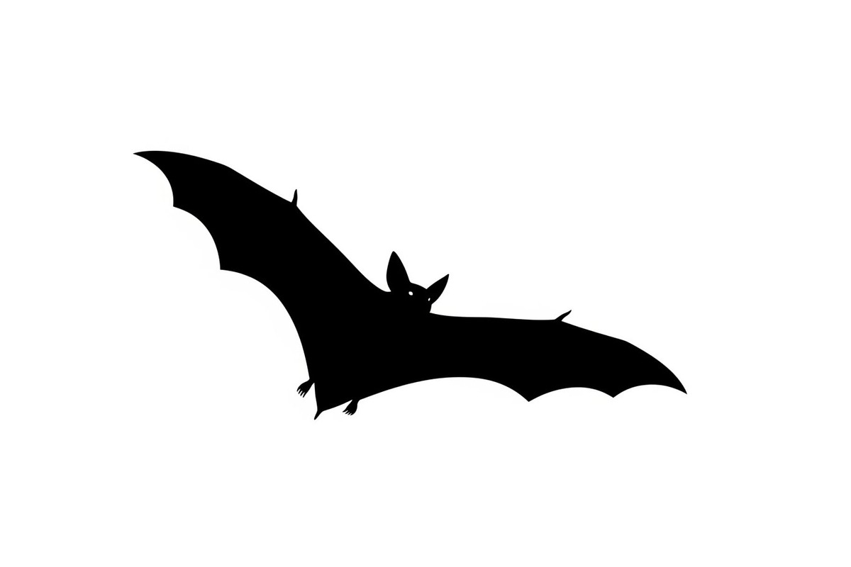 Minimal Horror Bat Silhouette Bundle, an Illustration by Designs_River (Photo 10 of 51)