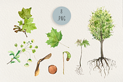 Big Life Cycle Bundle, an Education Illustration by Tati Bordiu (Thumbnail 6 of 43)