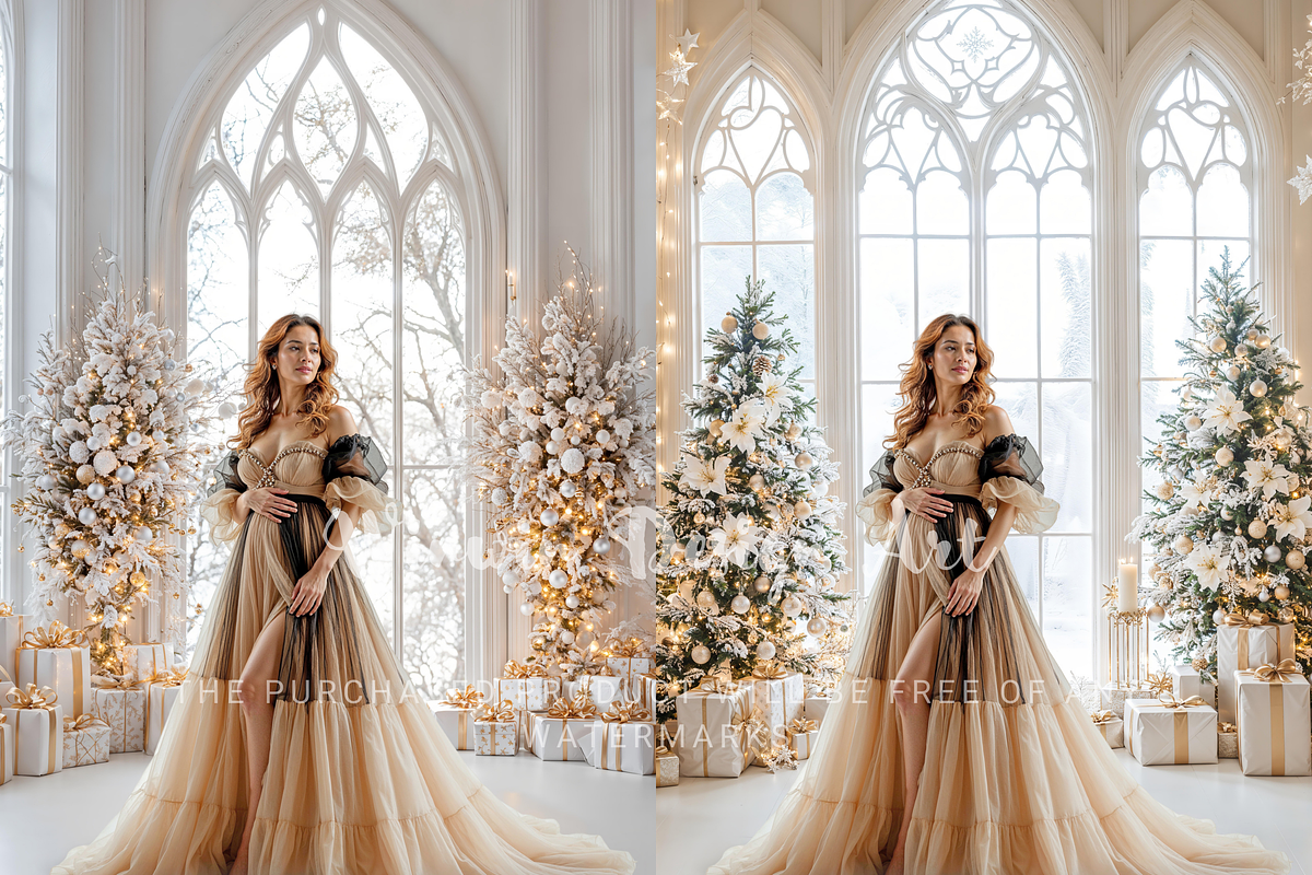 Backlit Christmas Window Backdrop, a Background Photo by Winwin Design Art (Photo 7 of 8)