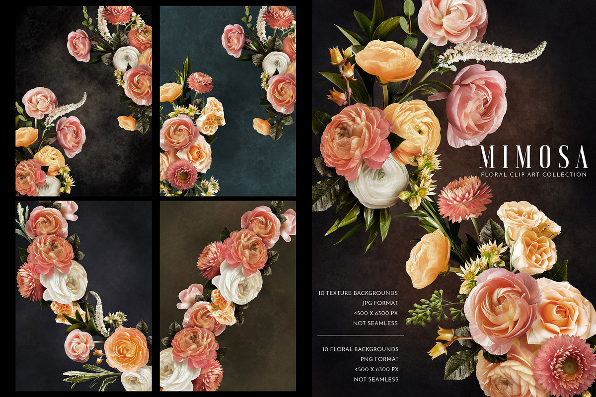 Floral Art Collection - Mimosa, an Object Graphic by Eclectic Anthology (Photo 3 of 11)