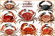 Vintage Crab illustrations, an Animal Illustration by Natalka Dmitrova art (Thumbnail 1 of 12)