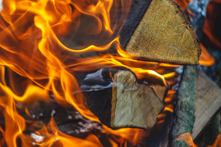 Burning fire in the grill with logs. Close-up. Concept of forest, a Nature Photo by TanaCh