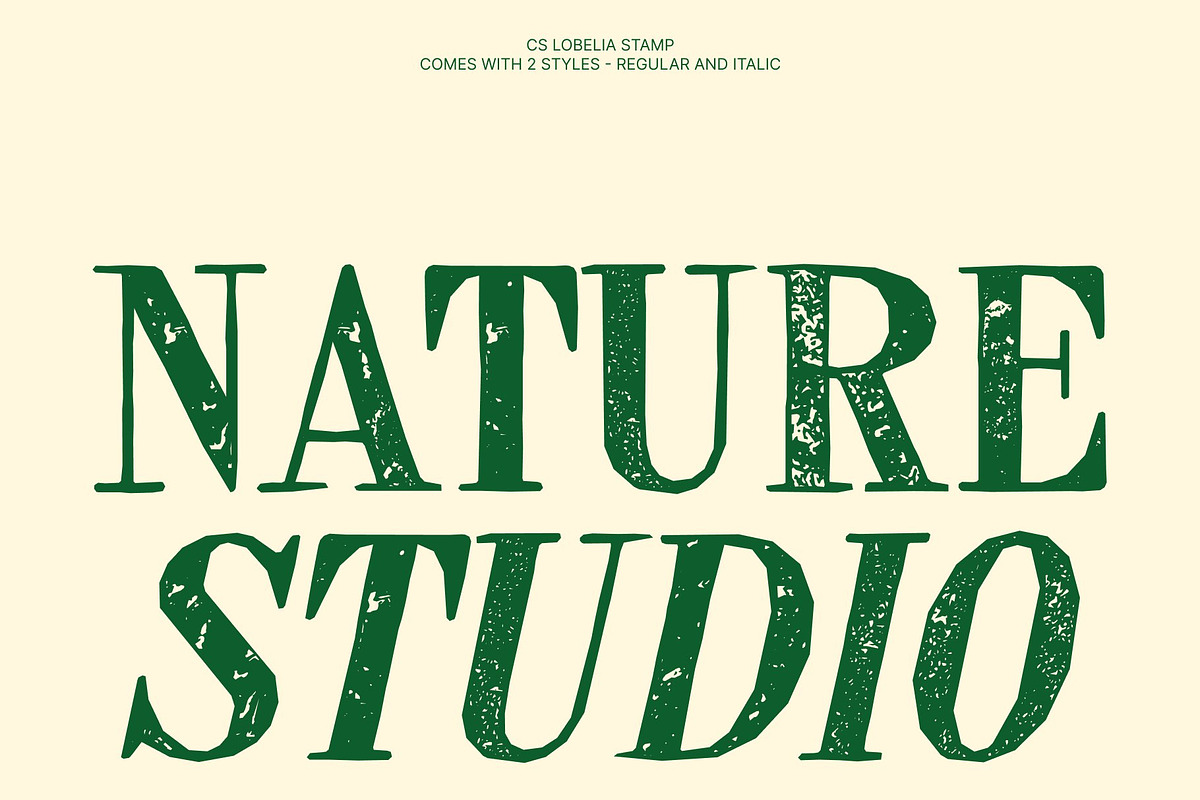 CS Lobelia Stamp, a Serif Font by Craft Supply Co. (Photo 3 of 8)