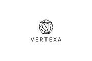 Vertexa Abstract AI & Geometric logo, a Branding & Logo Template by arhabib (Thumbnail 5 of 9)