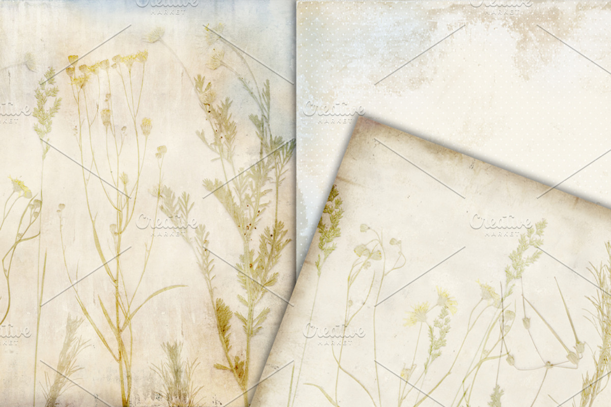 Nature Vintage Flower Set preview 3