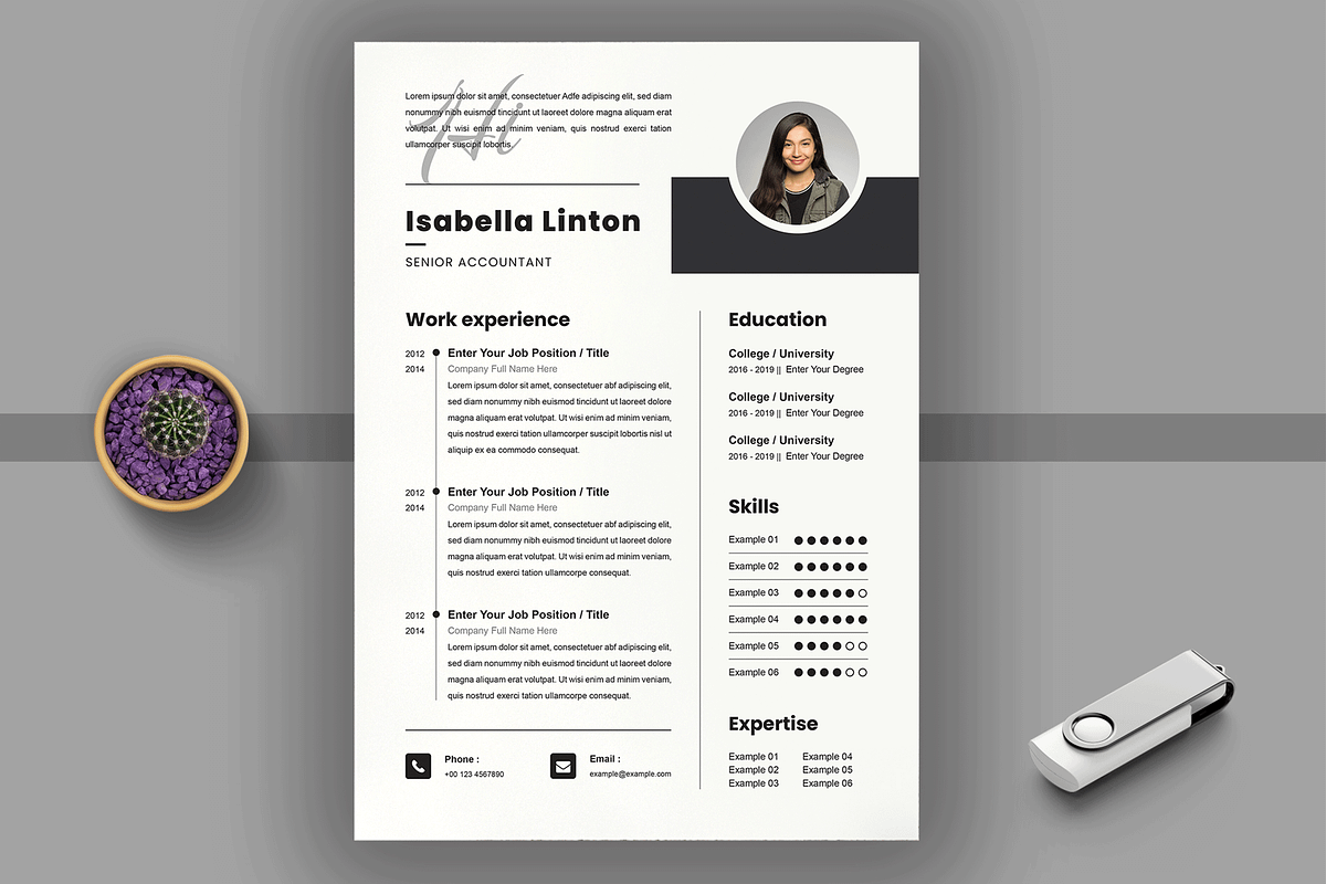 Professional Resume Layout, a Resume Template by MightyDesign (Photo 1 of 8)