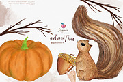 Watercolor Fall forest, squirrel 008, an Illustration by Drawberx (Thumbnail 2 of 8)