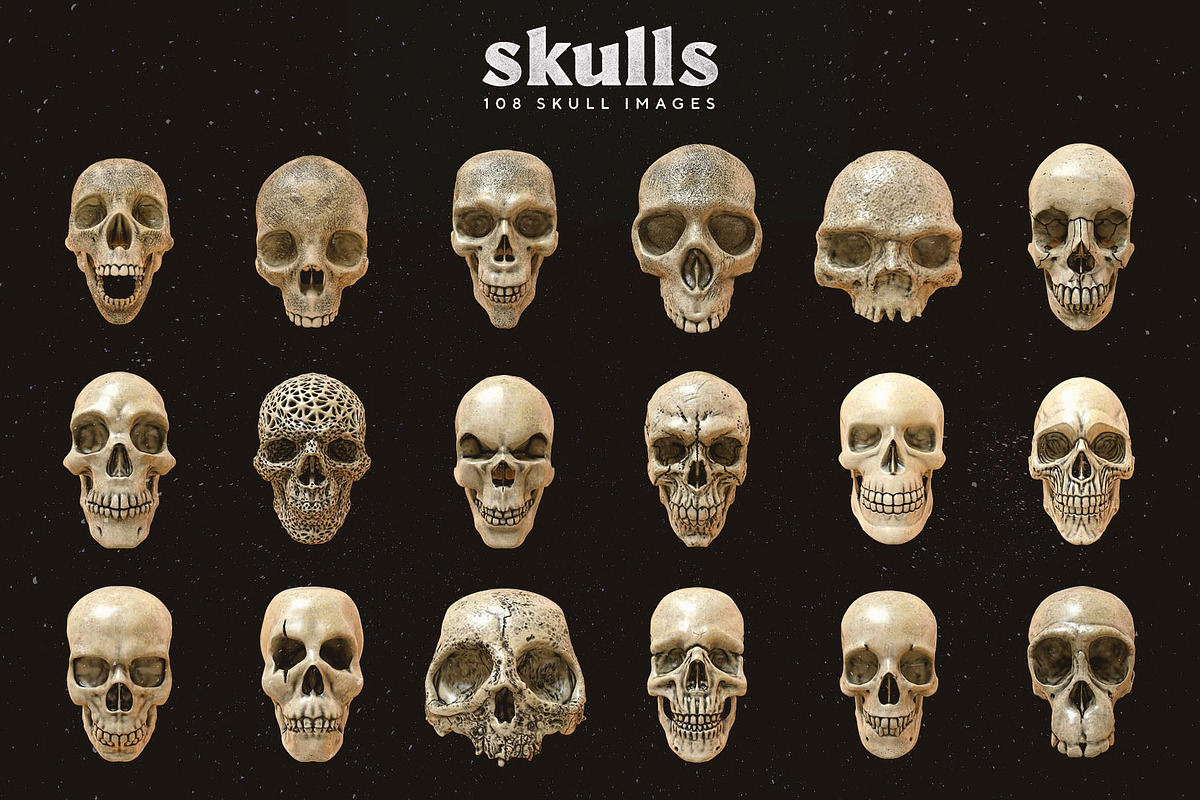 Skulls: 108 Skull Images, an Object Graphic by RuleByArt (Photo 12 of 16)