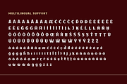 VAKOZI | Serif Classic Modernism, a Serif Font by twinstd (Thumbnail 12 of 13)