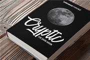 Nightstory Typeface 40% 0ff, a Script Font by Sundawani Typeface (Thumbnail 6 of 10)