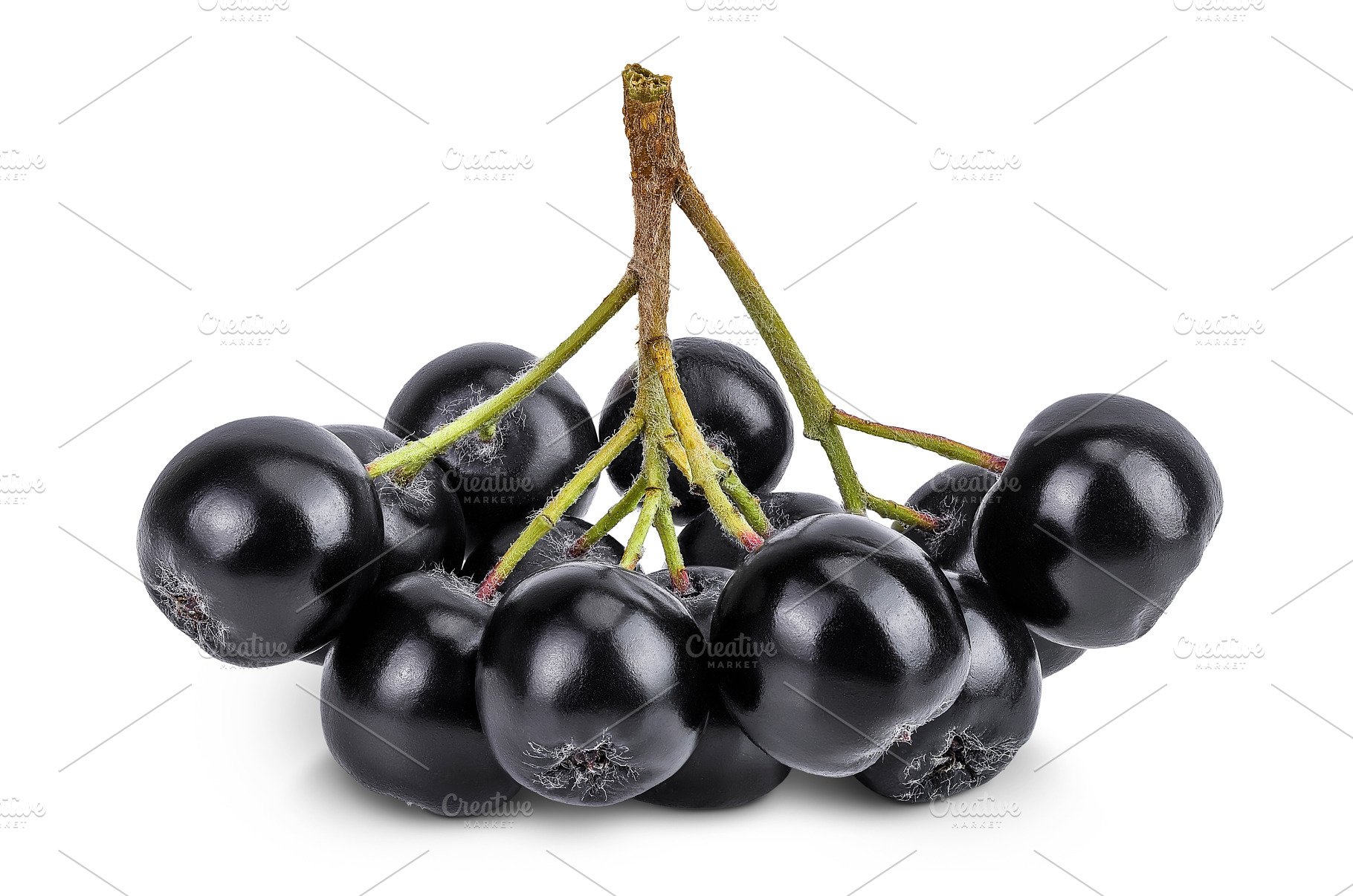 Chokeberry isolated on white, a Food & Drink Photo by NataPhoto