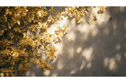 background overhead tree border top, a Nature Photo by pikepicture