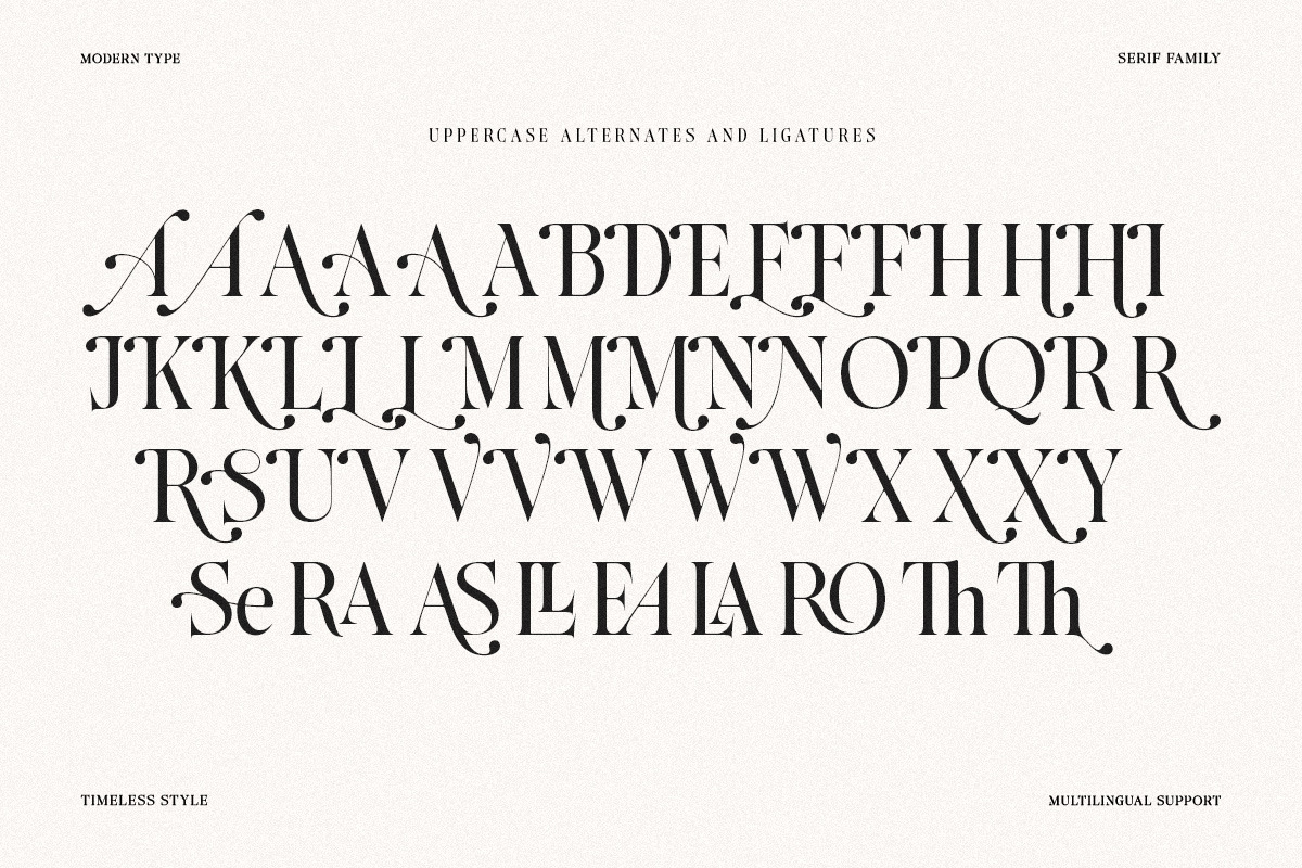 The Andalucia Serif, a Serif Font by Pista Mova (Photo 17 of 26)