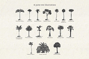 Vintage Palm Tree Vector Bundle, an Object Illustration by Seaquint (Thumbnail 2 of 5)