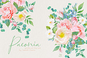 Paeonia, an Illustration by TheSeventhDesire (Thumbnail 1 of 4)