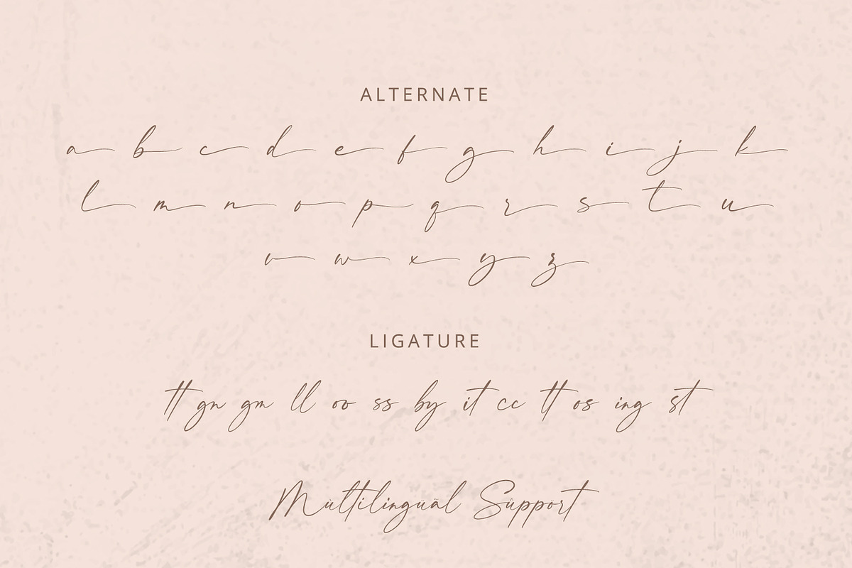 Felicity - Handwritten Font, a Script Font by Alpaprana (Photo 11 of 12)