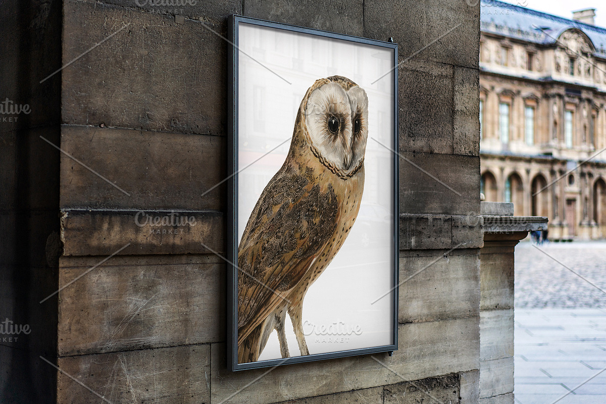 Vintage owl illustrations, an Animal Illustration by Natalka Dmitrova art (Photo 6 of 7)