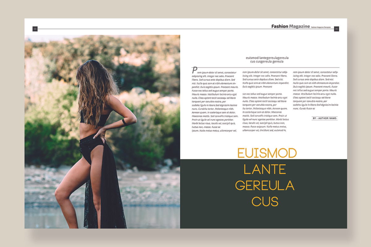 Magazine Template 04, a Magazine Template by pmvch (Photo 12 of 12)