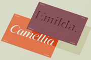 Mebilan, a Serif Font by IM Studio (Thumbnail 11 of 12)