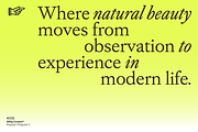Willy Caslon, a Serif Font by Latinotype (Thumbnail 4 of 13)