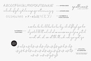 Script Font Apotheosis, a Script Font by pixelcolours (Thumbnail 11 of 15)