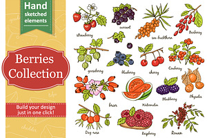 Collection of berries with pattern