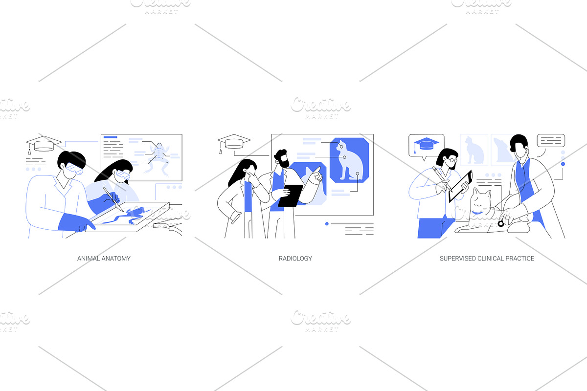 Doctor of Veterinary Medicine, an Education Illustration by Visual Generation