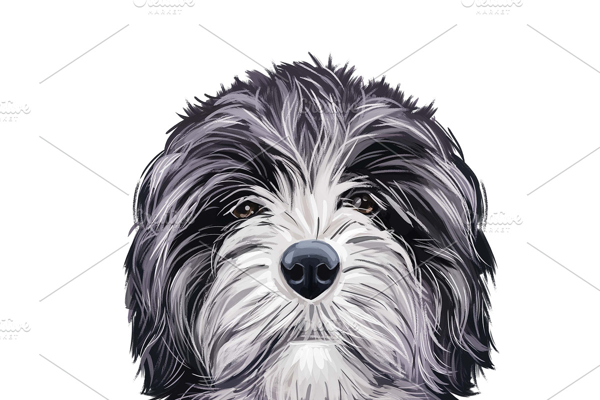 Dogs Cross Breeds 56 Animals Bundle, an Animal Illustration by Dneprstock (Photo 14 of 55)