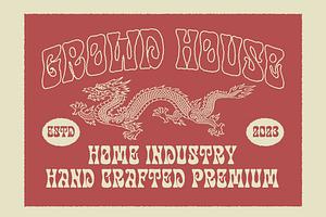 Disco Paradise – a Psychedelic Font, a Slab Serif Font by Blankids Studio