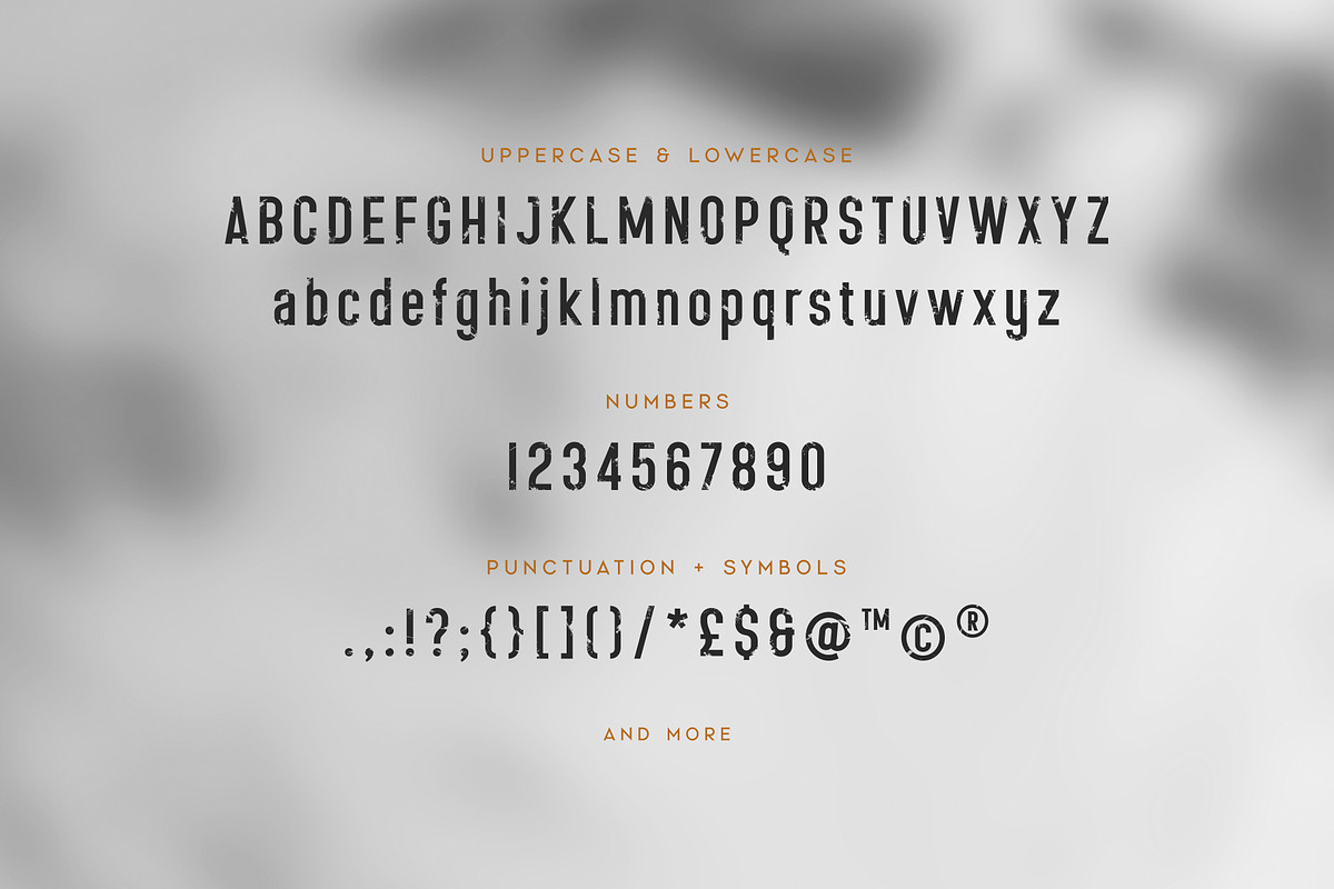 Nevis Ridge - Condensed Display Font, a Sans Serif Font by Thistle Type (Photo 4 of 9)