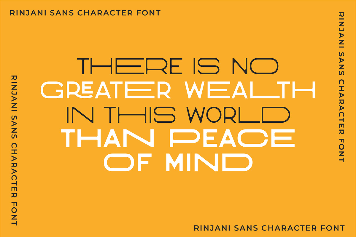 Rinjani Sans - Wide Stretch Typeface, a Sans Serif Font by CCS Type (Photo 4 of 24)