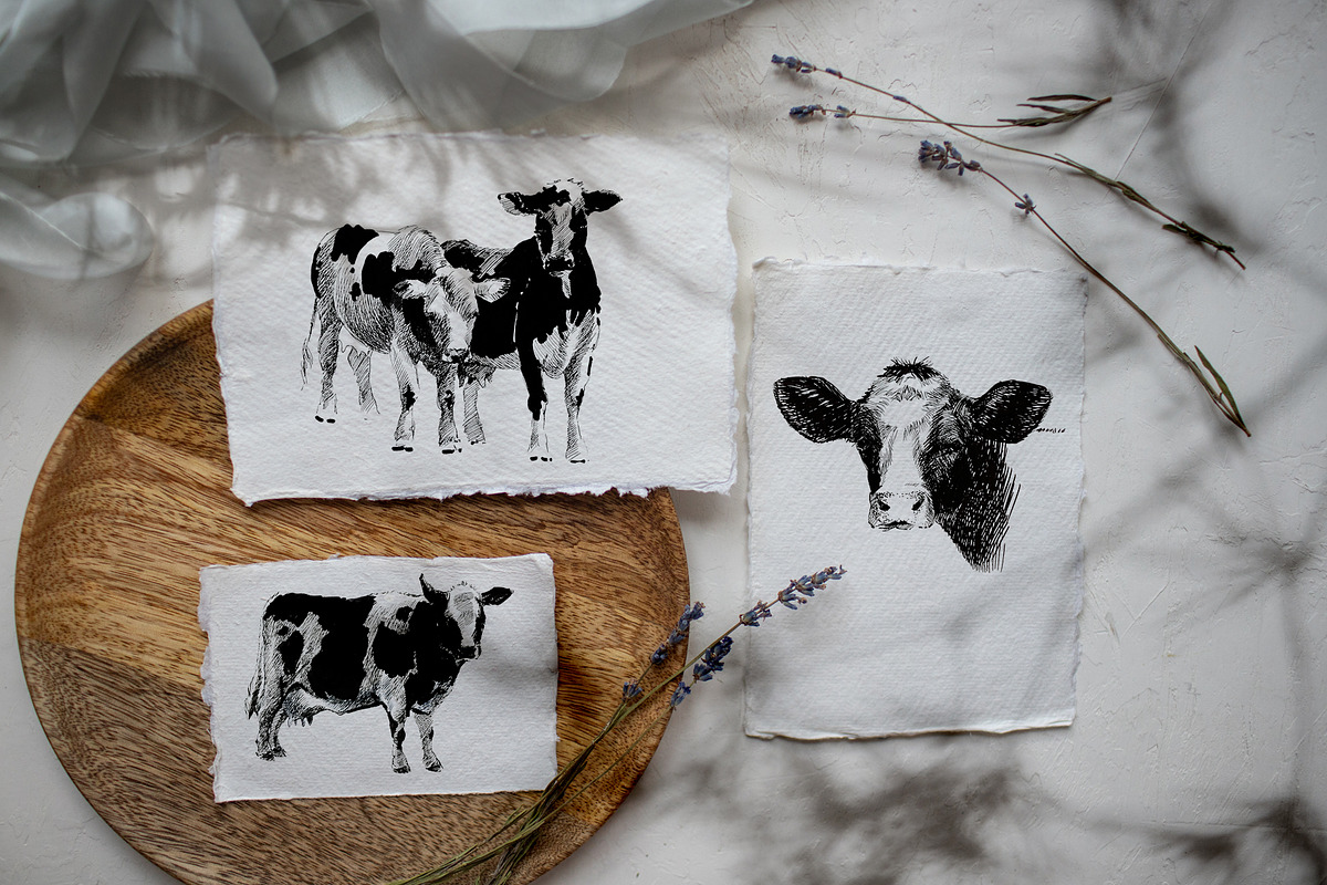 Dairy Cows | Ink Illustration, an Animal Illustration by FineArt