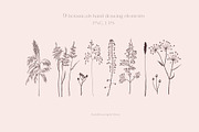 Wildflower and Insect collection, an Illustration by Hand drawn Boutique (Thumbnail 3 of 7)