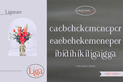 Angilena, a Serif Font by Mantype Studio (Thumbnail 10 of 14)