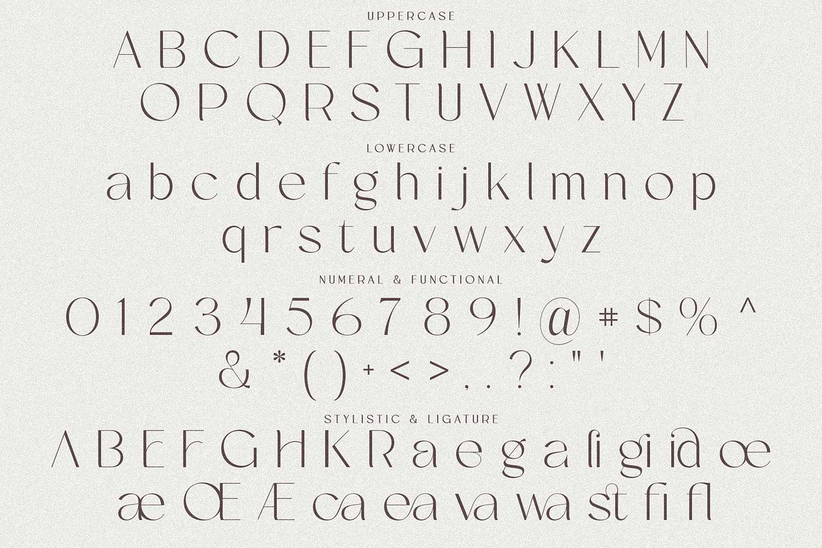 Meagin Elegant Serif, a Serif Font by Luna Shop (Photo 2 of 8)