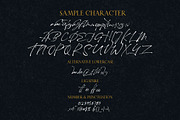 Maestro Signature // Expresivve Font, a Script Font by typeline studio (Thumbnail 9 of 9)