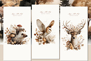 Watercolor Forest Animals, an Animal Illustration by Anna Sokol (Thumbnail 8 of 10)