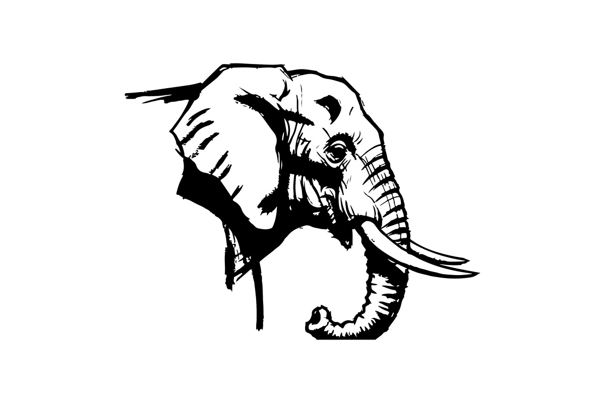 Elephant Vector Black Clipart Set, an Animal Illustration by balal (Photo 9 of 11)