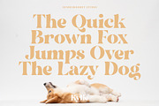 Kylie - Exotic Serif, a Serif Font by NendesKombet Studio (Thumbnail 6 of 8)