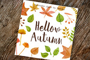 Autumn Leaves, clipart, an Illustration by swiejko (Thumbnail 2 of 2)