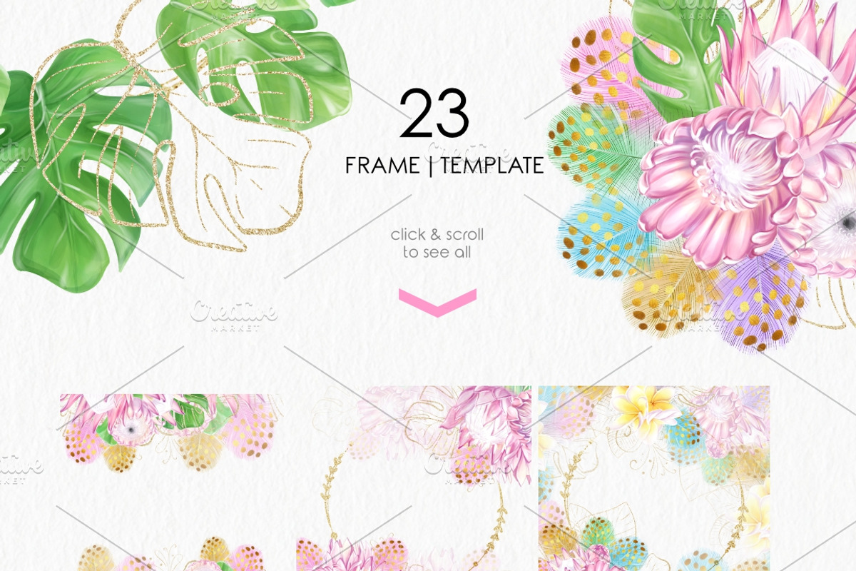 Tropic protea, watercolor clip art, a Seasonal Illustration by katmonne (Photo 5 of 9)
