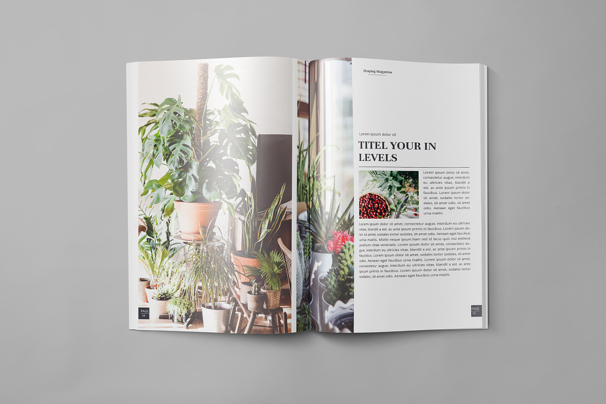 Magazine Layout Template, a Magazine Template by obidullah_01 (Photo 6 of 9)