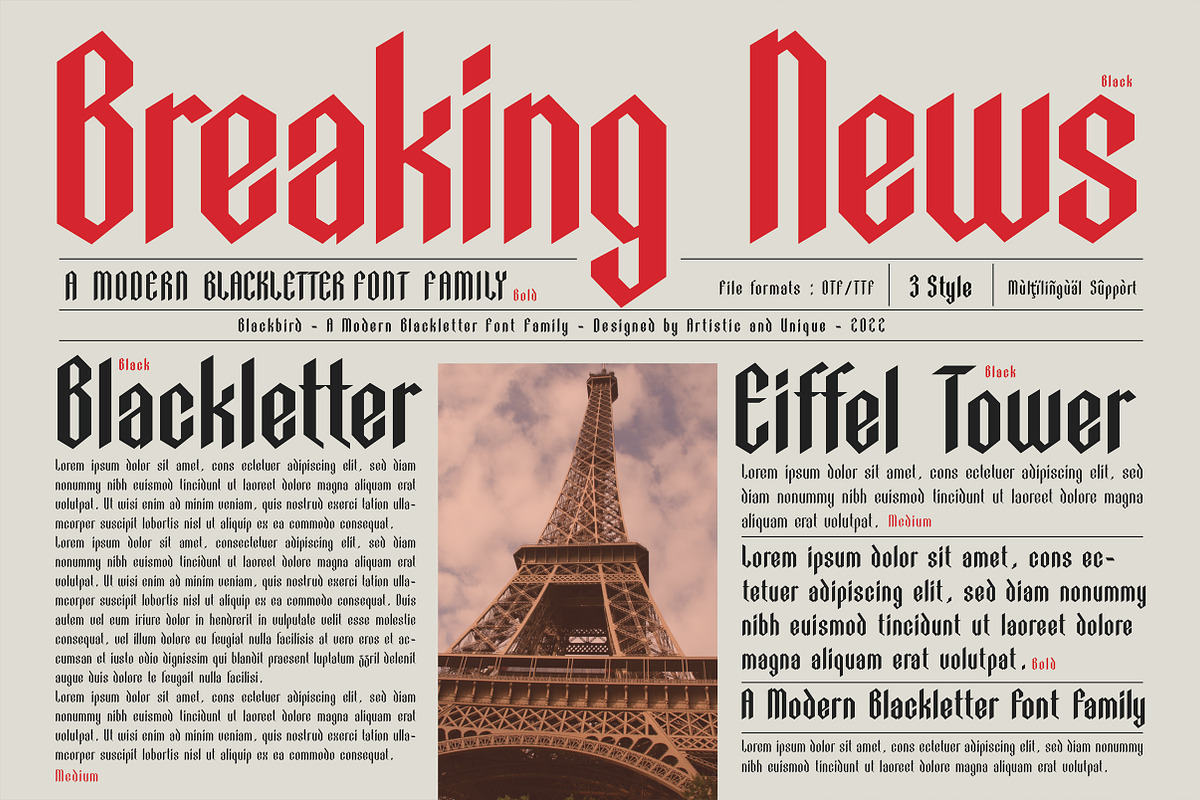 Blackbird - Blackletter font family, a Blackletter Font by Artistic & Unique (Photo 8 of 16)