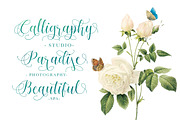 Bigshine Script, a Script Font by ianmikraz (Thumbnail 4 of 6)
