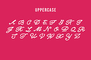 Larasati Awesome Type, a Handwritten Font by zerologicstudio (Thumbnail 5 of 6)