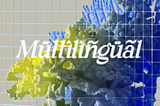 Andaman an Experimental Serif Font, a Serif Font by Lettertype Studio (Thumbnail 13 of 15)