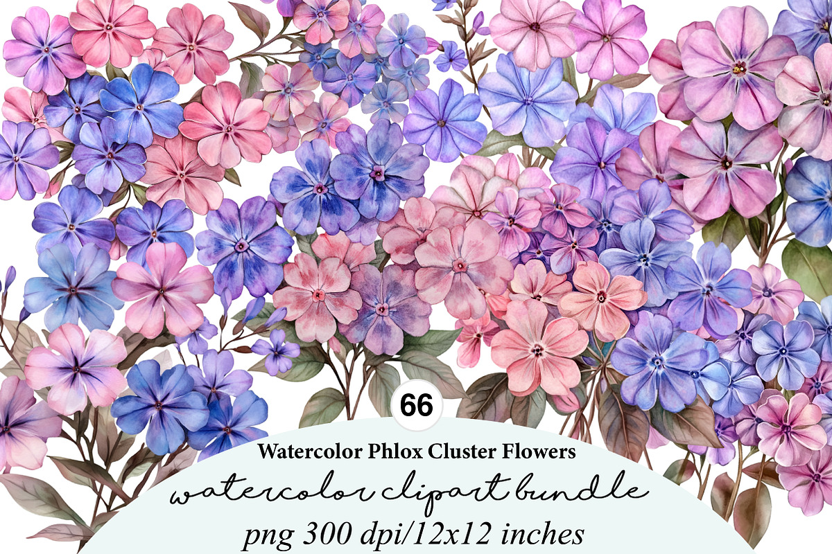 watercolor phlox cluster flowers, an Illustration by GatewayDesign (Photo 1 of 9)