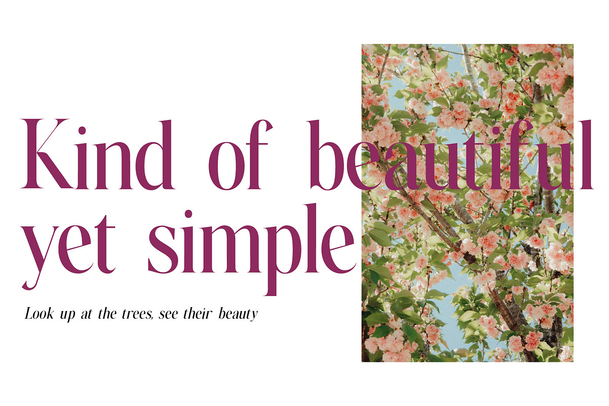 Cale | A beautiful serif font, a Serif Font by Supersimbo © (Photo 3 of 9)