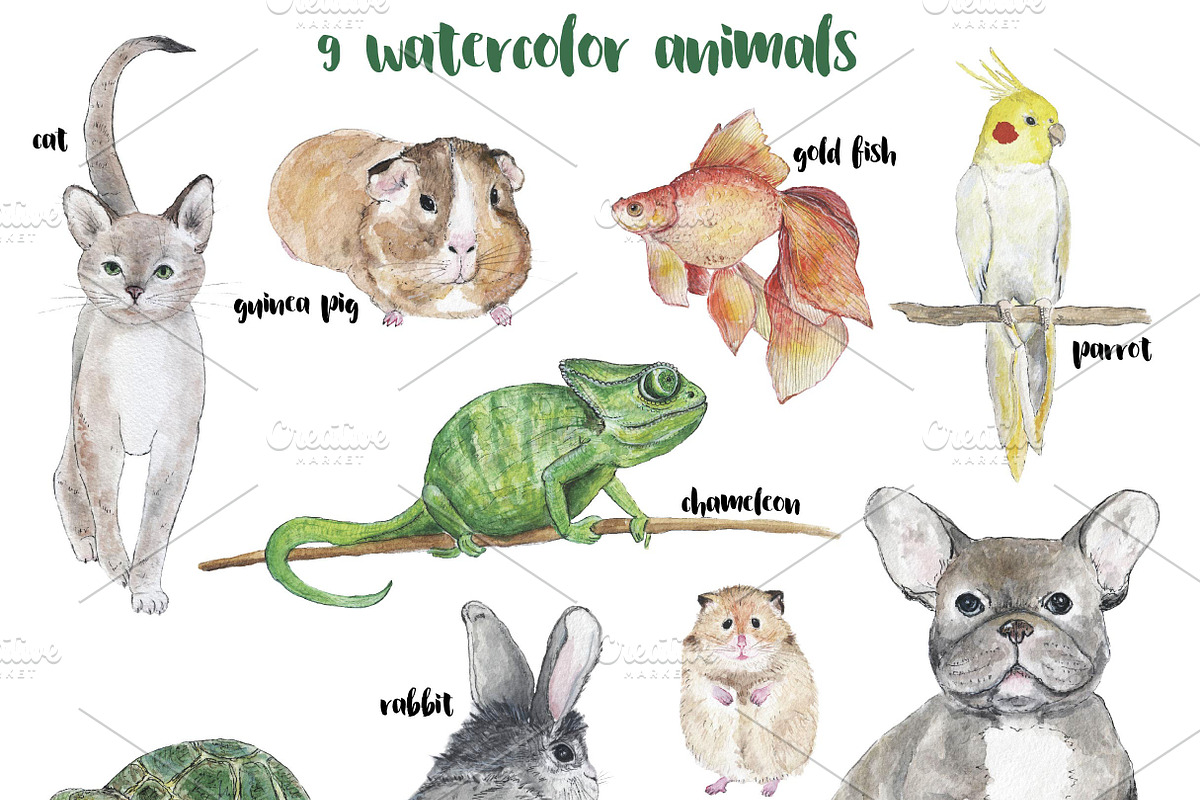 PETS. Watercolor set, an Animal Illustration by digital_essence (Photo 2 of 5)